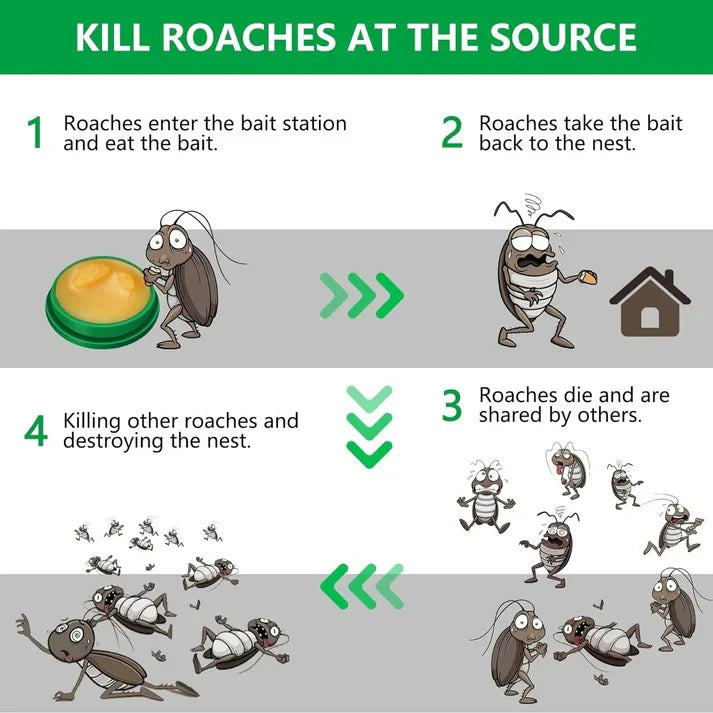Roach Repellent Cockroach Control Bait Killing Gel ( BUY 1 GET 1 FREE )