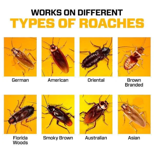 Roach Repellent Cockroach Control Bait Killing Gel ( BUY 1 GET 1 FREE )