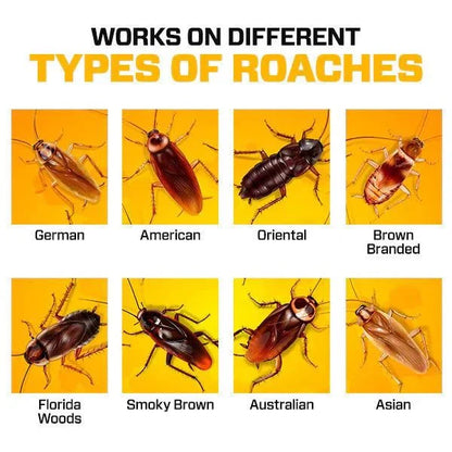 Roach Repellent Cockroach Control Bait Killing Gel ( BUY 1 GET 1 FREE )